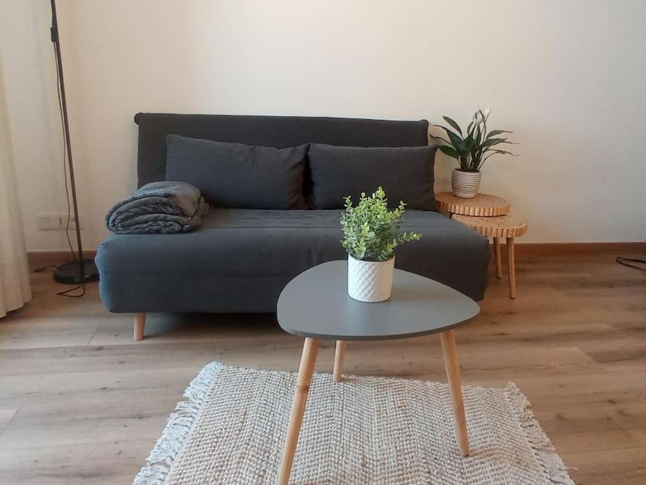 A 50 M De La Plage, Appartement De 35 M2 : Les Pieds Sales Bréhal Dış mekan fotoğraf
